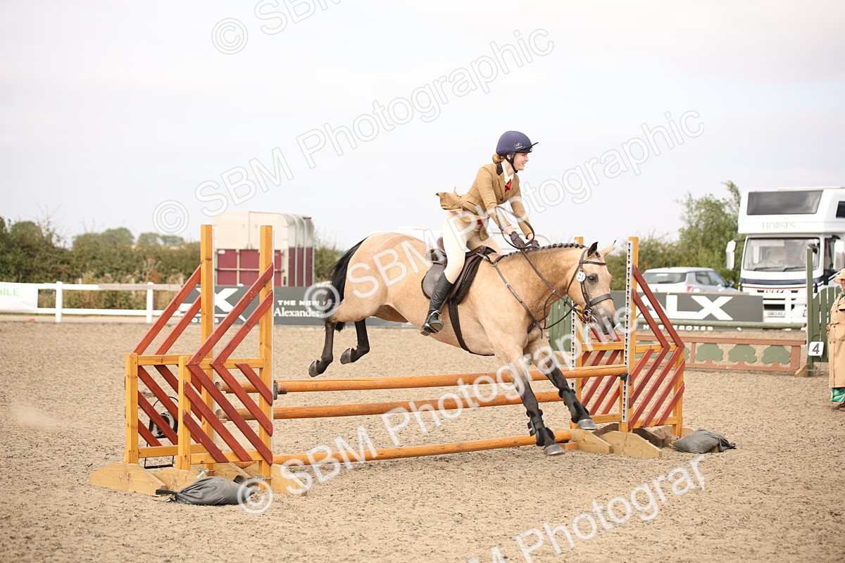 SBM_17157 - Class 409b - Working Veteran 80cm (20+)