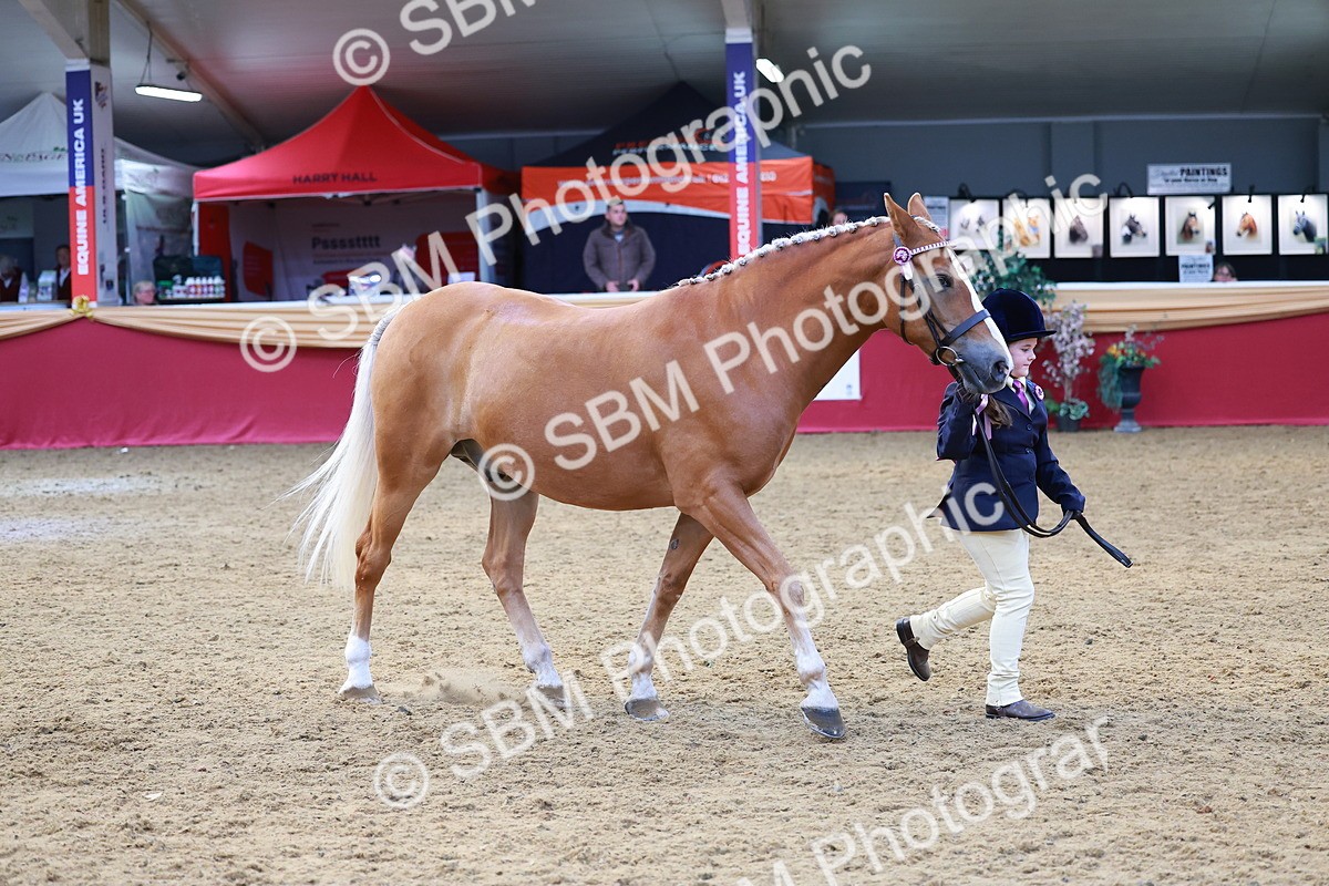 SBM_04247 - Class 9R - IH Pre-Vet