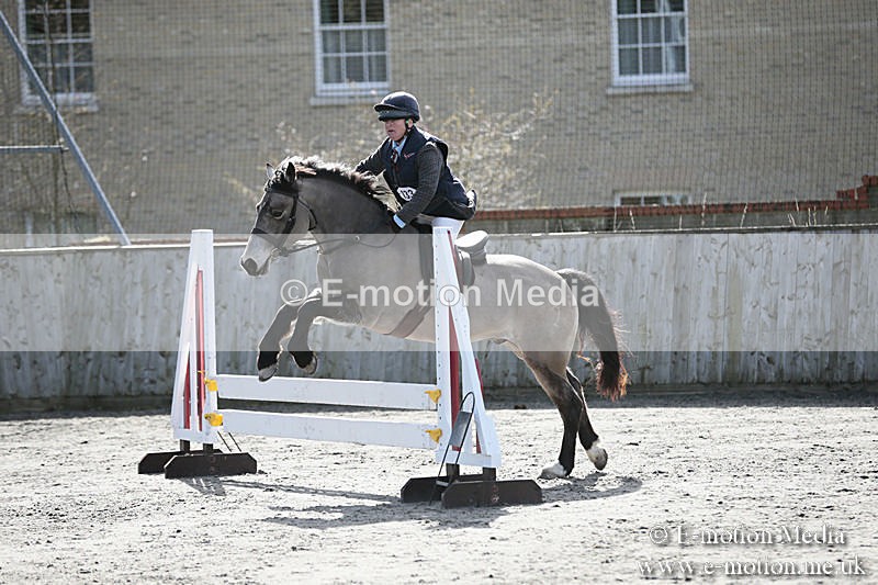 BVRC SJ 170319 203 - Bourne Valley Riding Club Showjumping 17/03/19