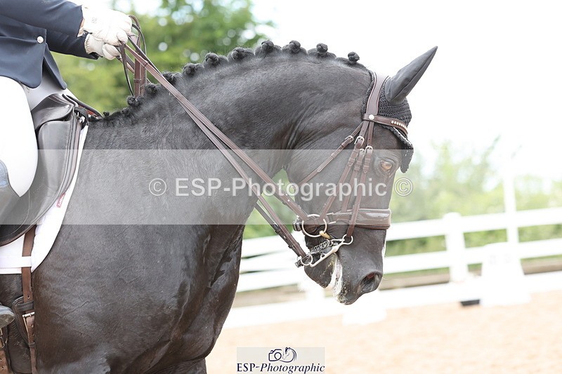 240622A-141643-13432 - Cls 33 BD Medium 73