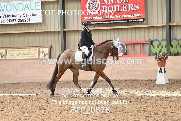 BPP_0878 - 10 - K MURDOCH