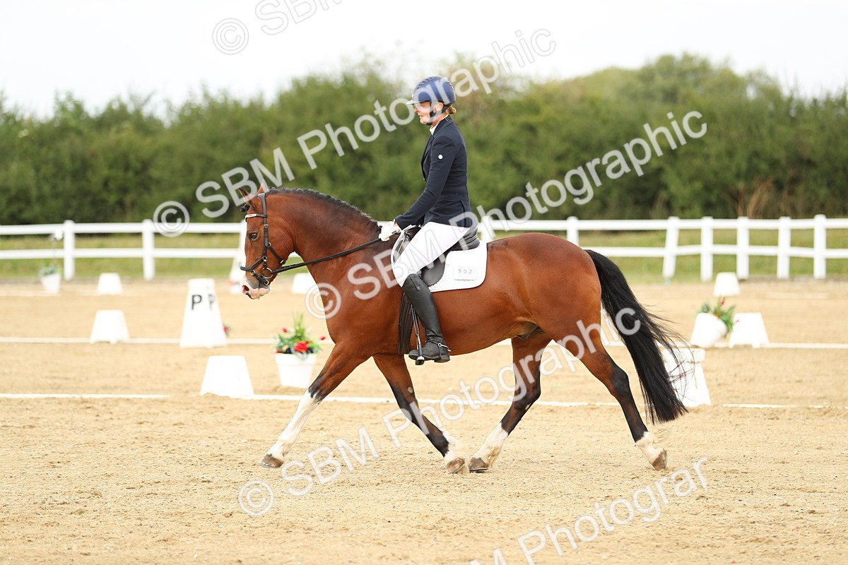 SBM_017644 - Class 13 - Novice 23 - 14.27-15.16