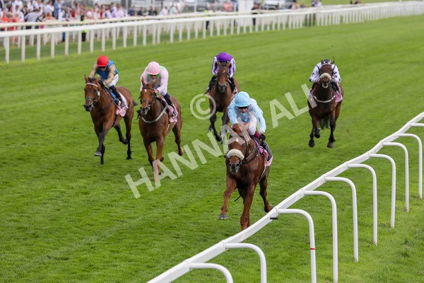 170524-Race 4-Giavellotto-2201 - Race 4 3.45pm Boodles Yorkshire Cup Stakes