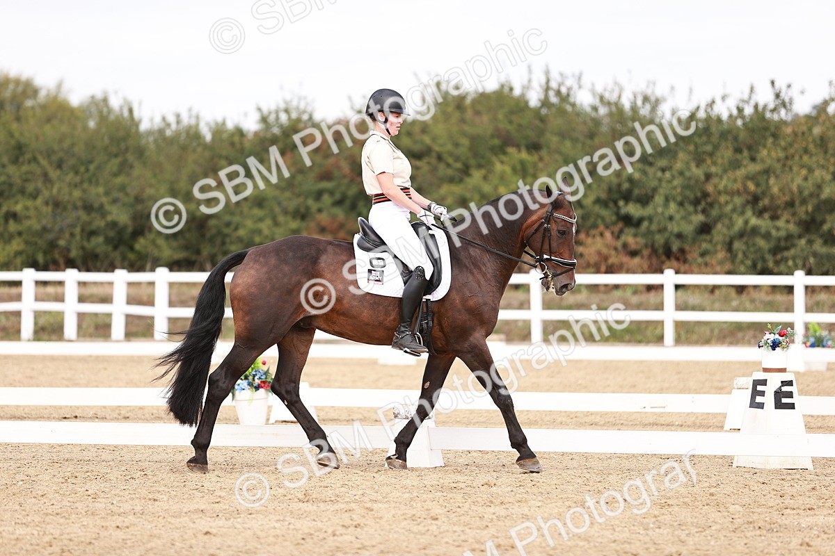 SBM_019213 - Class 20 - Medium 5