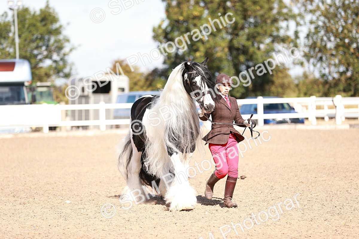 SBM_12601 - Class 404 - IH Traditional - Native Cob