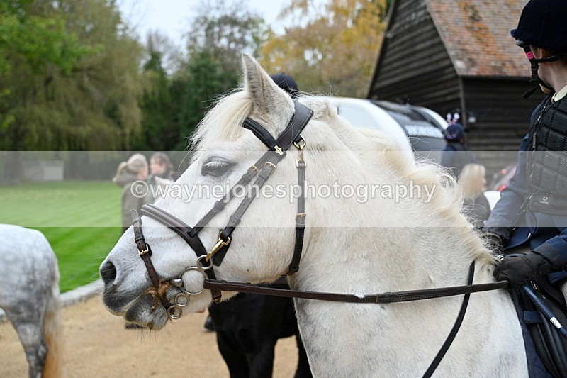 WJ7_6059 - Berks & Bucks - Children's Meet - The Old Farmhouse – Steventon.