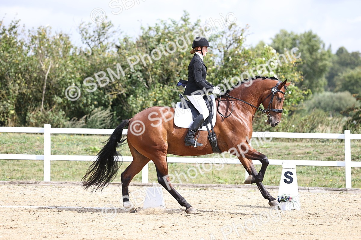 SBM_016174 - Class 14 - Novice 23 - 10.29-11.32