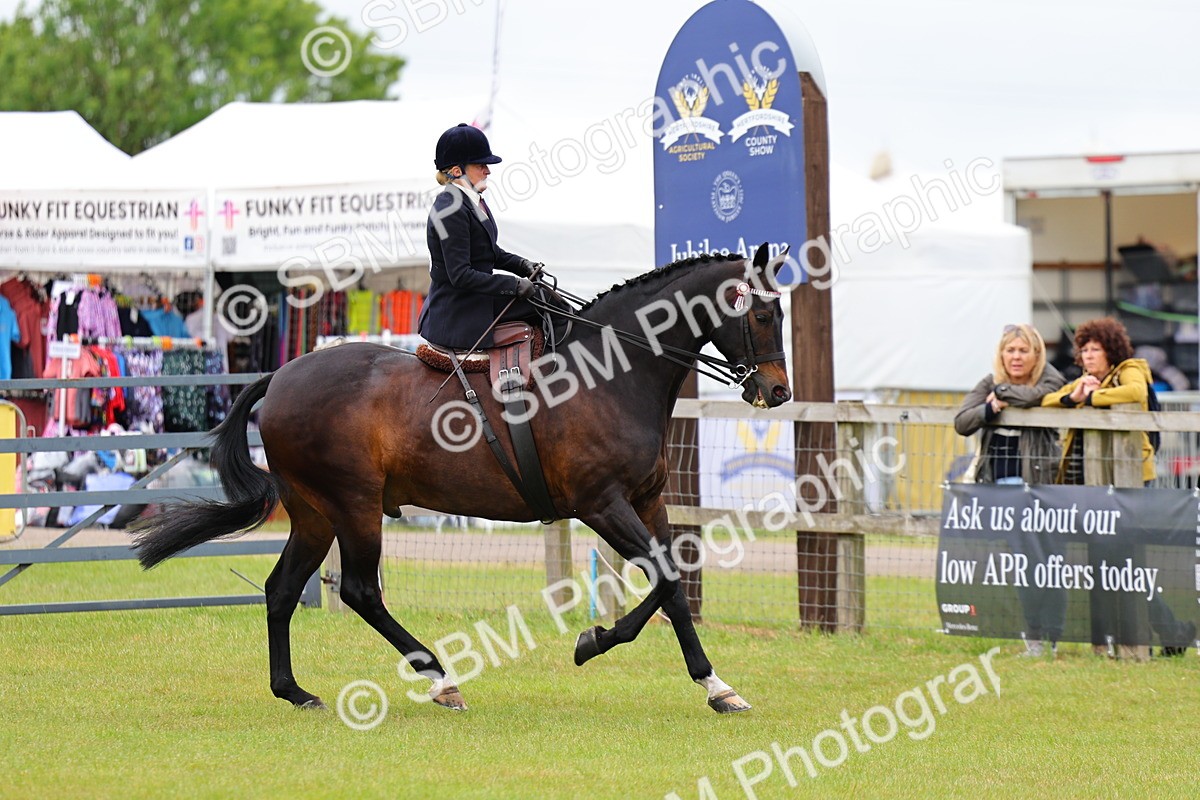 SBM_02825 - Class 9-11 Side Saddle including LIHS Rising Star Ladies Show Horse