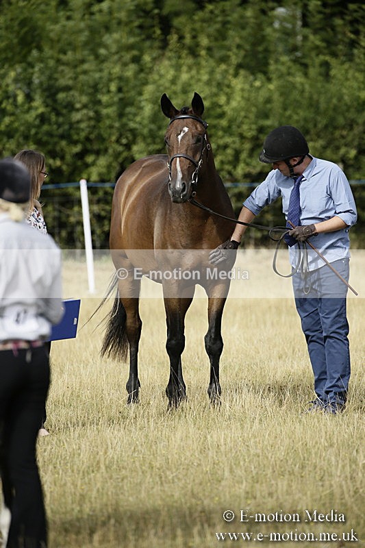 _EP59079 - BVRC Sow 2018 Ring 2