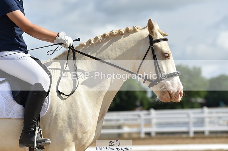 250622-094444-12837 - Quest Cls 19-24 Intro Tests