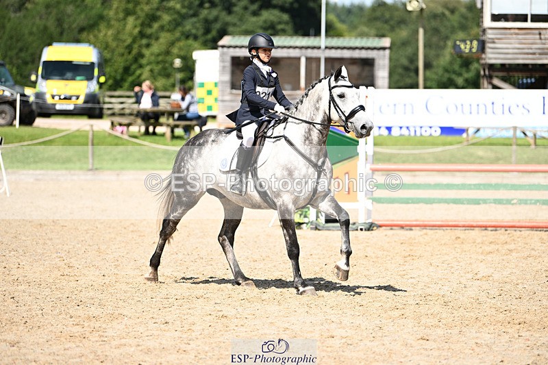 240824X-134310-29058 - 80cm Round 2 13.30 to 14.30