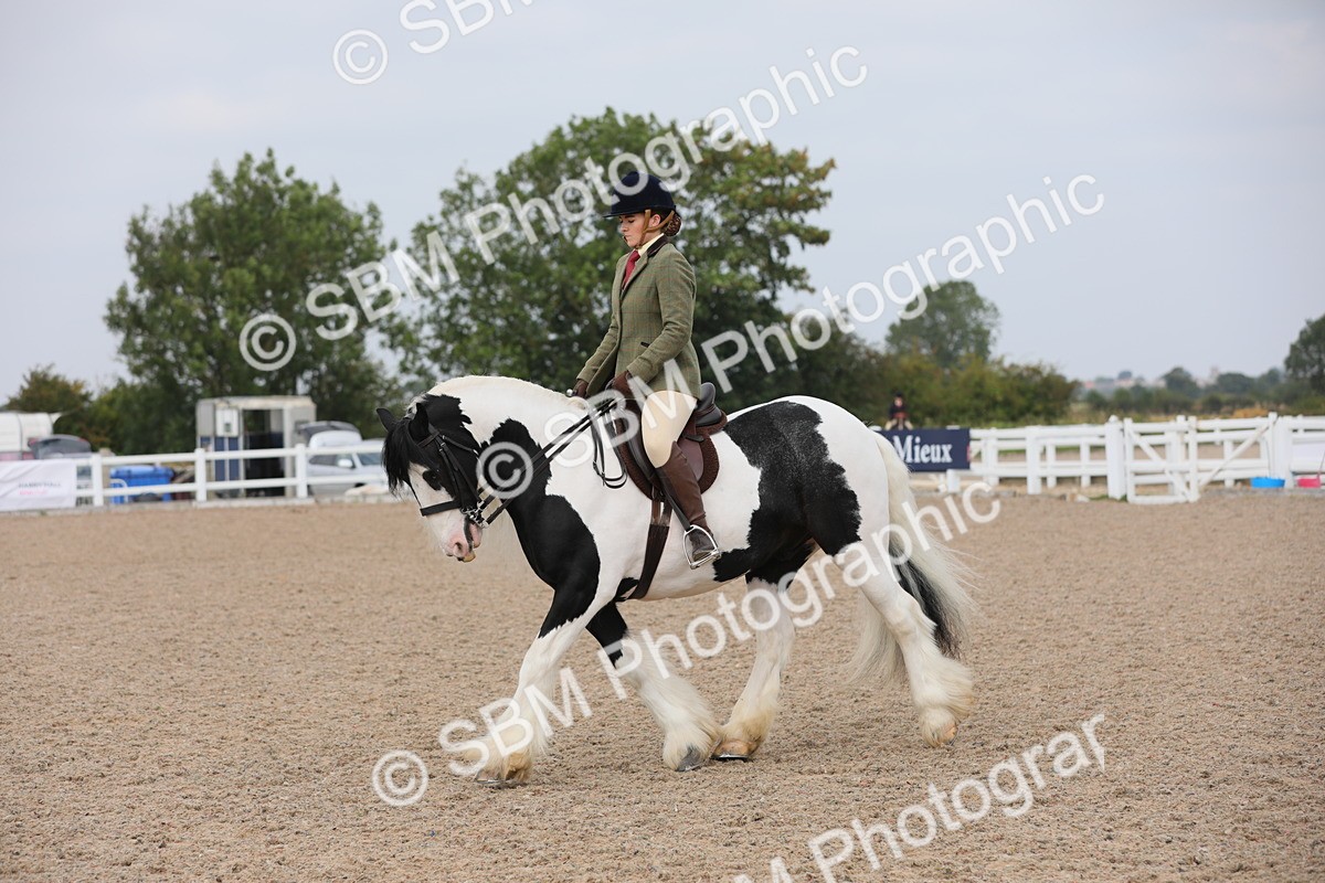 SBM_12797 - Class 307 Ridden Coloured Pony