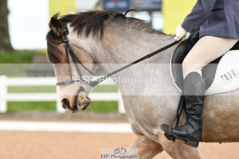 240324A-091143-00597 - Prelim 12, Start to 10.30