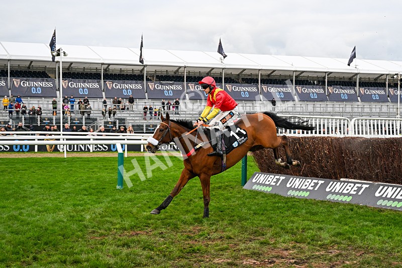 161125-Race 3-Calgary Tiger-5828 - Race 3