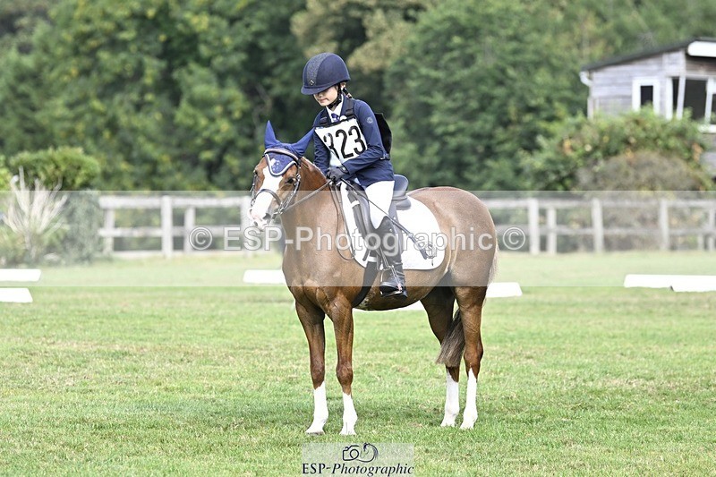 250821A-104451-14515 - DR 10.00 to 11.00