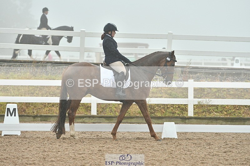 230708A-150844-03000 - Elementary 43