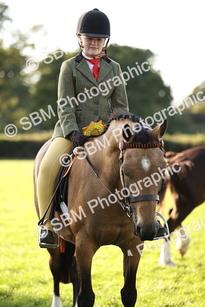 SBM_29646 - S7 - Novice & Newcomers Ridden Pony