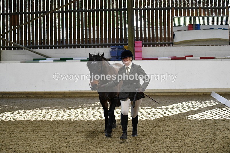 WJ5_3569 - Class 5 In Hand Veterans