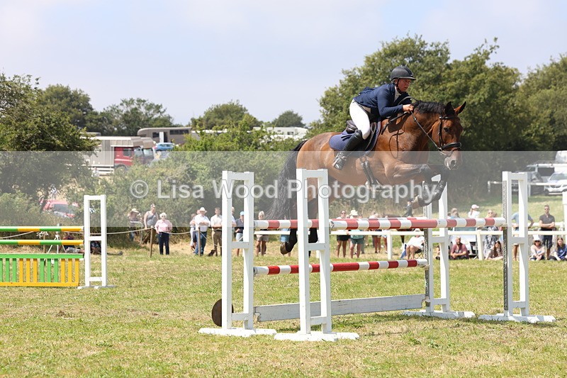 3E7A3405 - Class 10: Senior Foxhunter/1.20 open