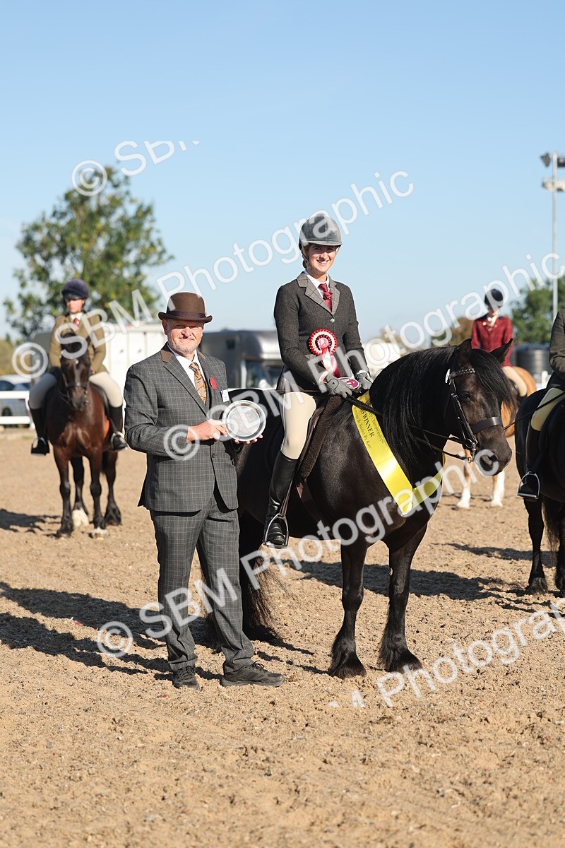 SBM_11102 - Class 302 - Ridden M&M Large Breeds