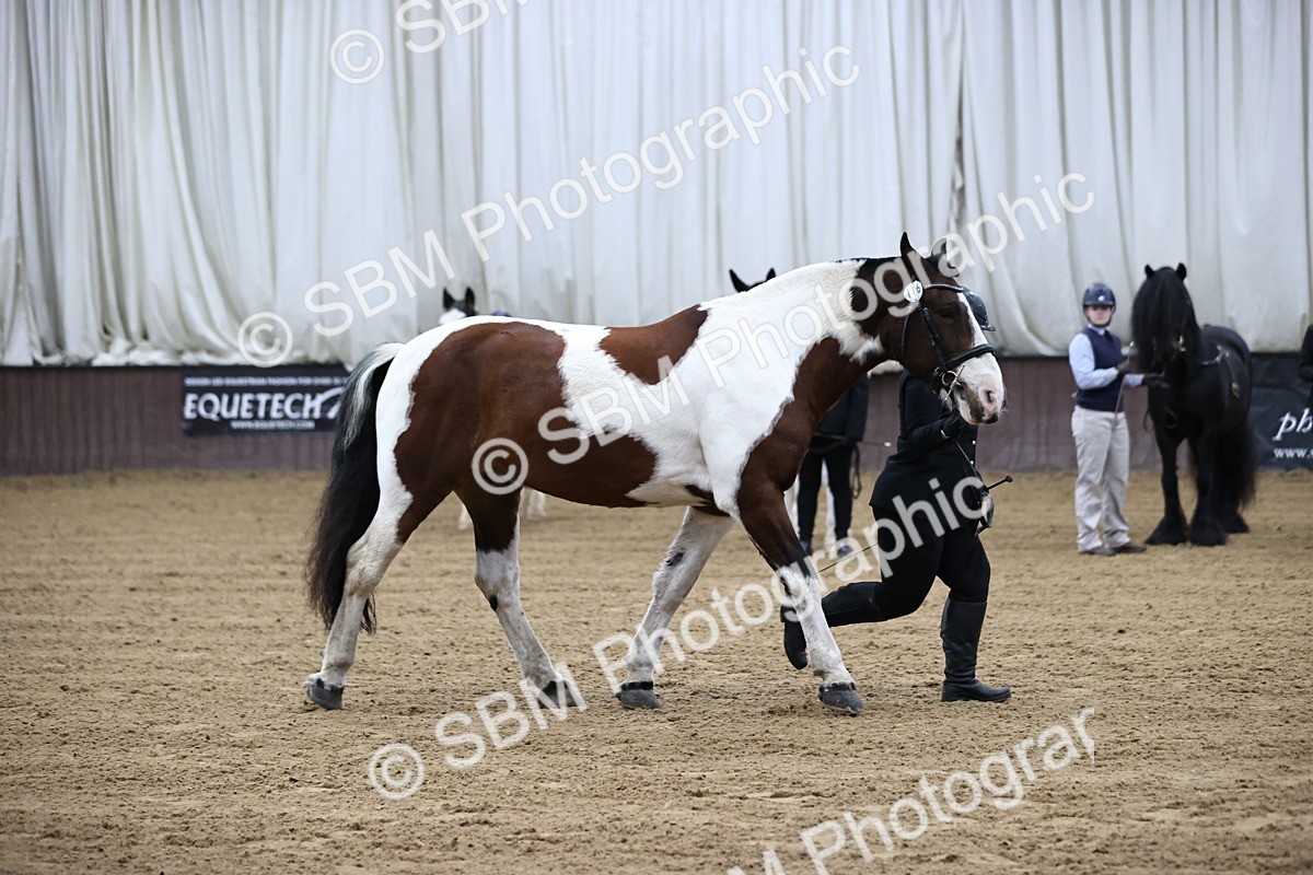 SBM_5293 - Class 32 - In Hand Cob Type