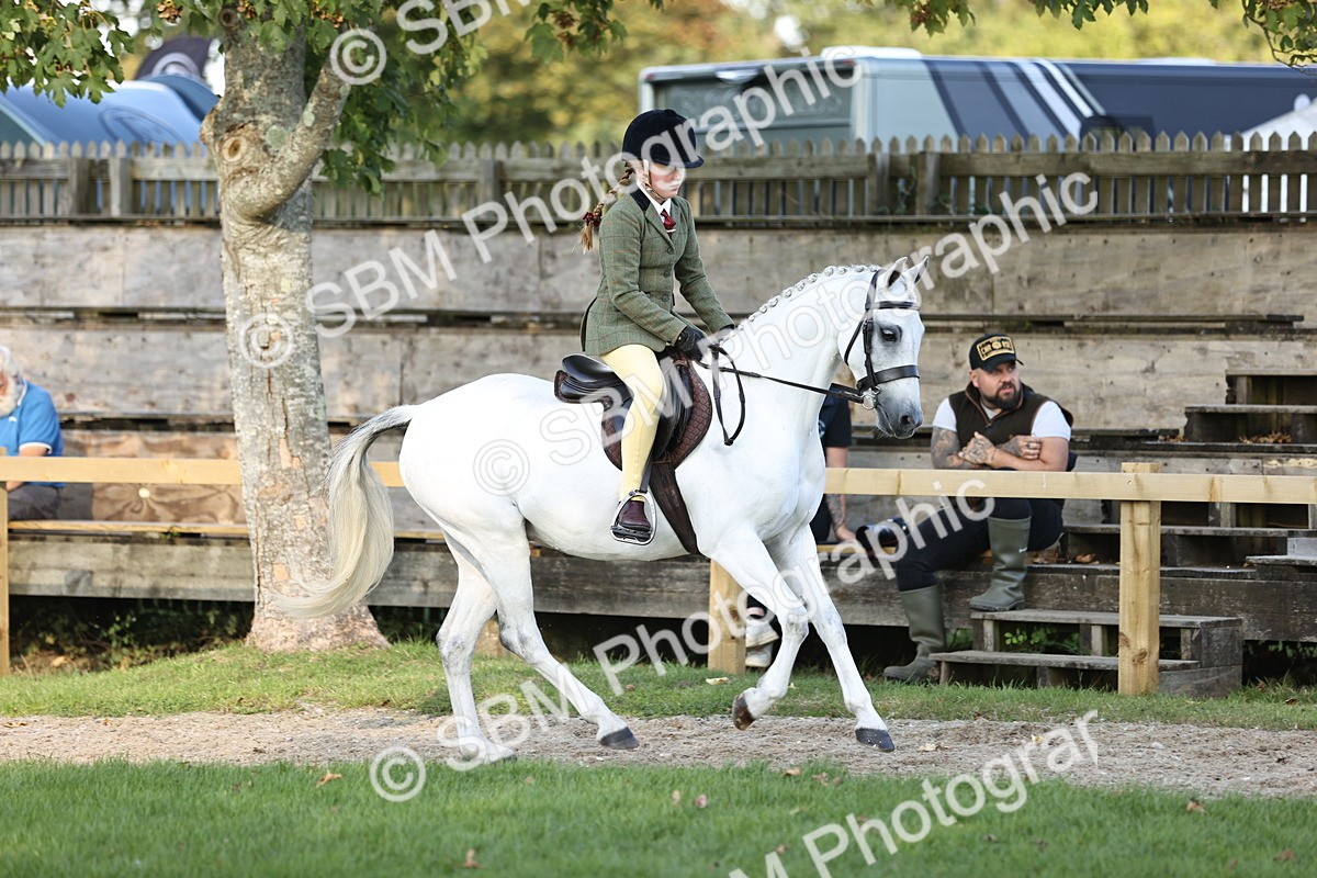 SBM_29463 - S7 - Novice & Newcomers Ridden Pony