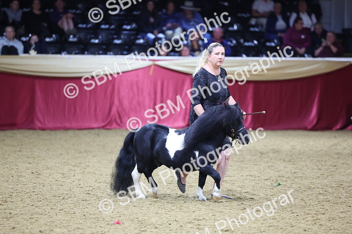 0B8A4417 - Class N M&M Champ