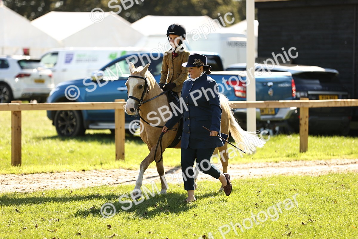 SBM_19298 - S3 - TSR Ridden Pony Showing