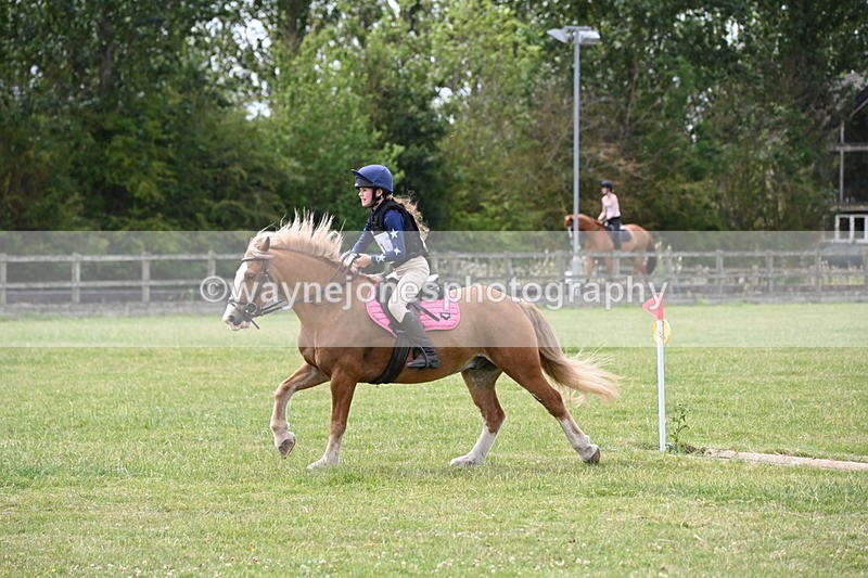 WJ6_6949 - 80cm XC Pairs