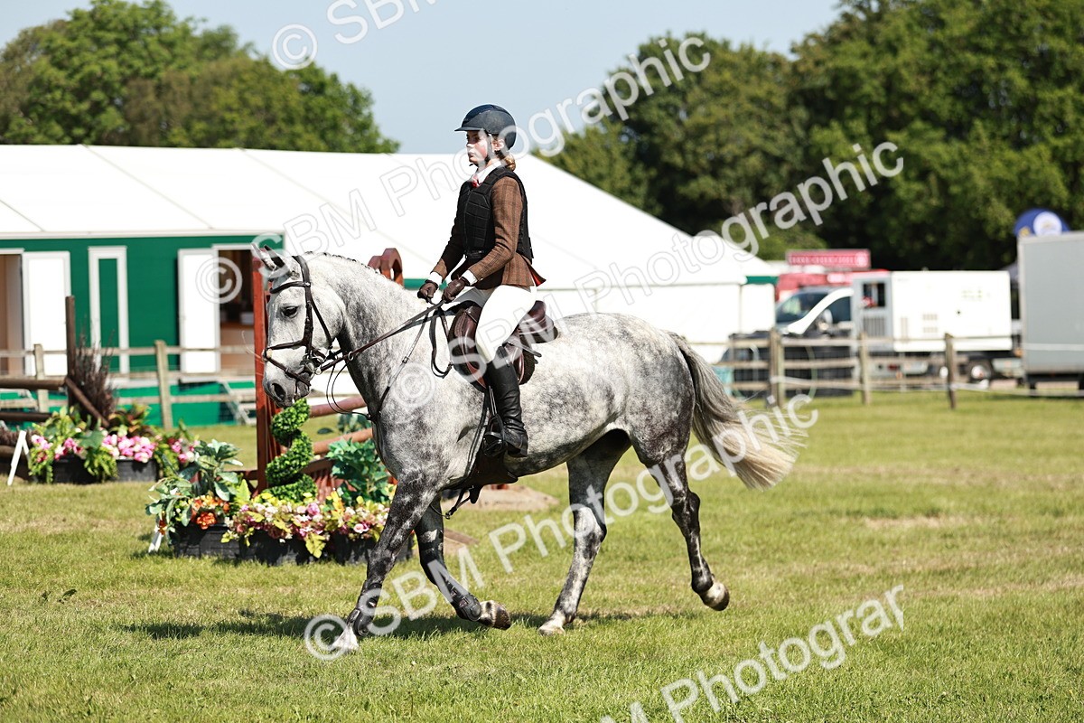 SBM_18364 - Class 112-113 - BSPS LIHS Working Sports Pony