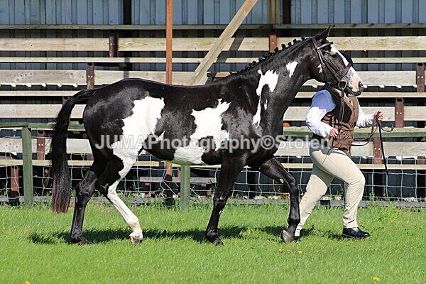 SIAL5713 - Ring 1 & 3