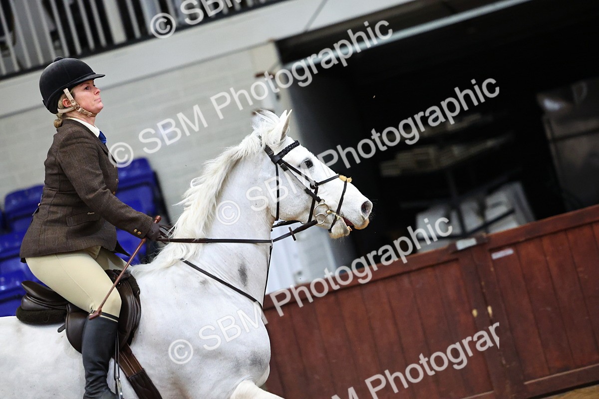 SBM_006628 - Class 43 - RIHS Qualifier Exceeding 43cms