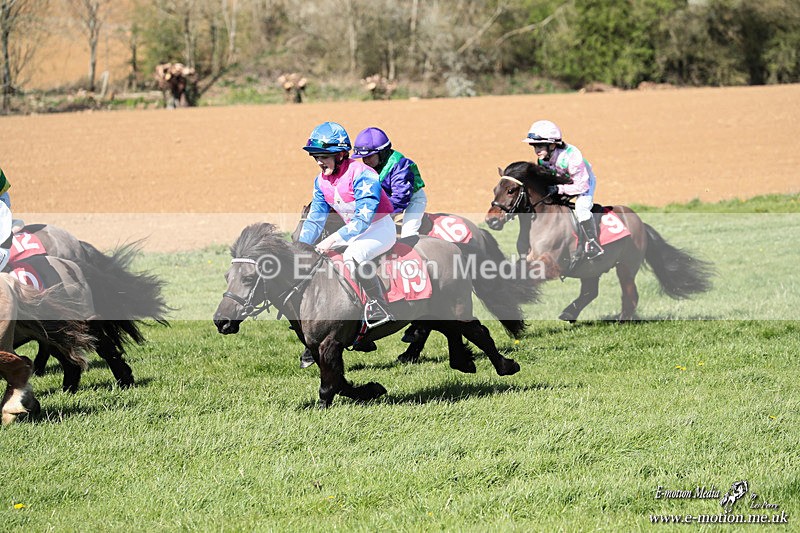 Shet 060426 299 - Shetland Pony Racing Paxford Races Easter Mon 06/04/26