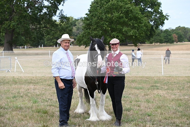 WJ6_5820 - Class 18 In-hand Coloured