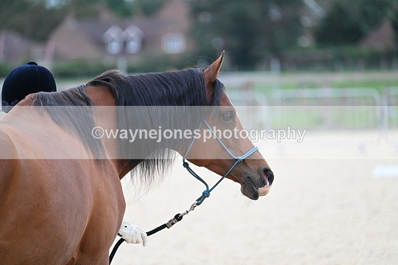 WJ7_1912 - Class 1 & Champs