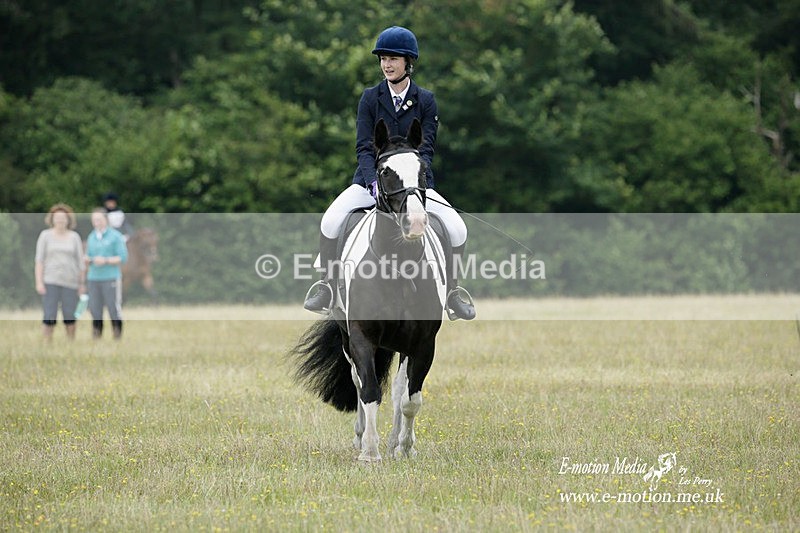 BVRC 030721 19 - Bourne Valley Riding Club Dressage 03/07/21