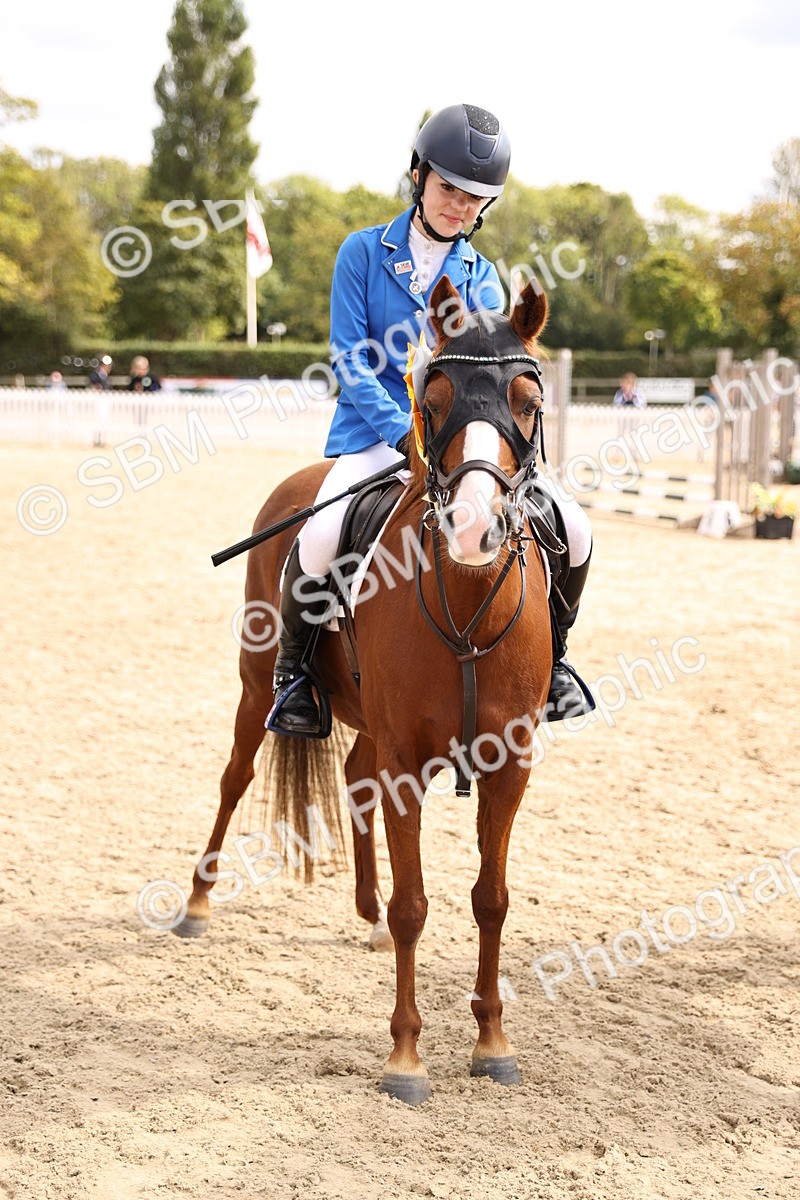 SBM_64033 - J12 - Junior Pony 55cm Championship