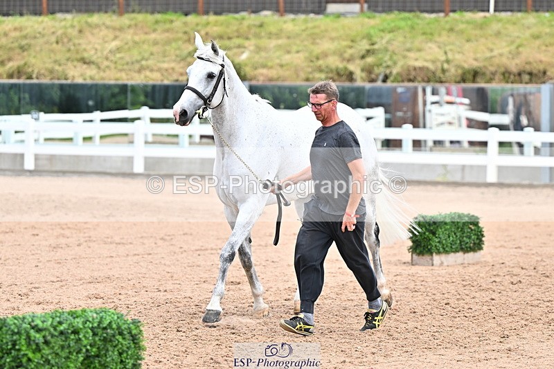240718A-105324-01950 - Trot Up 2pm to 3pm - This folder is not in time order