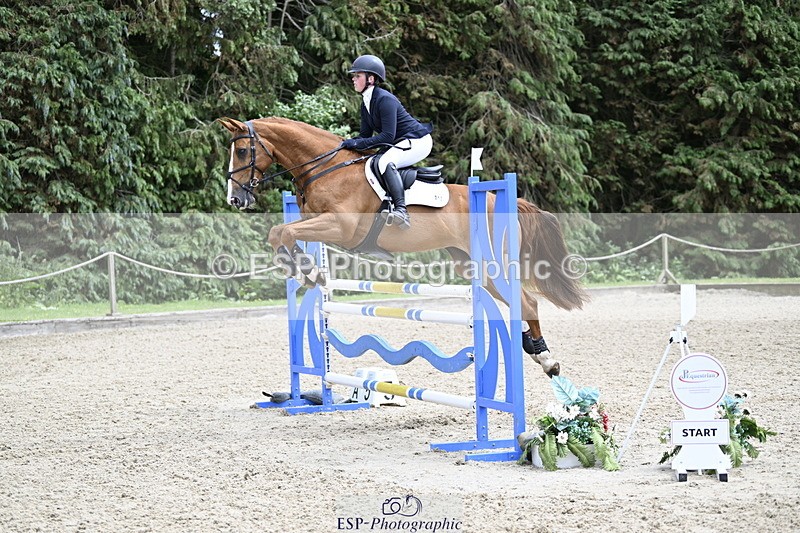 250525A-145740-18032 - C-217-Polly.Kilgour-RENKUM.LADY.VOS