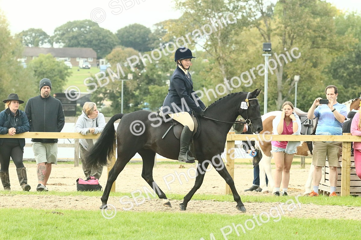 SBM_74094 - S 61 - Show Pony & Show Hunter Pony Ridden
