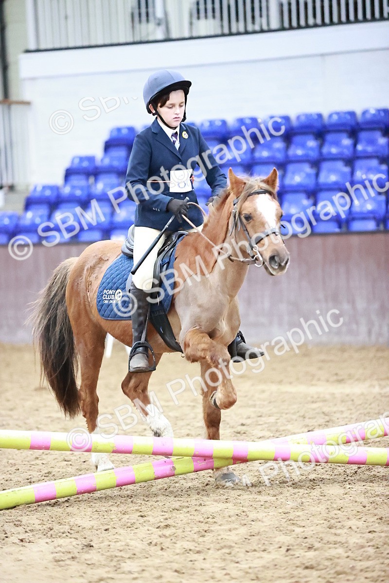 SBM_000278 - Class 1 - Cross Pole Jumping 30cm 40cm