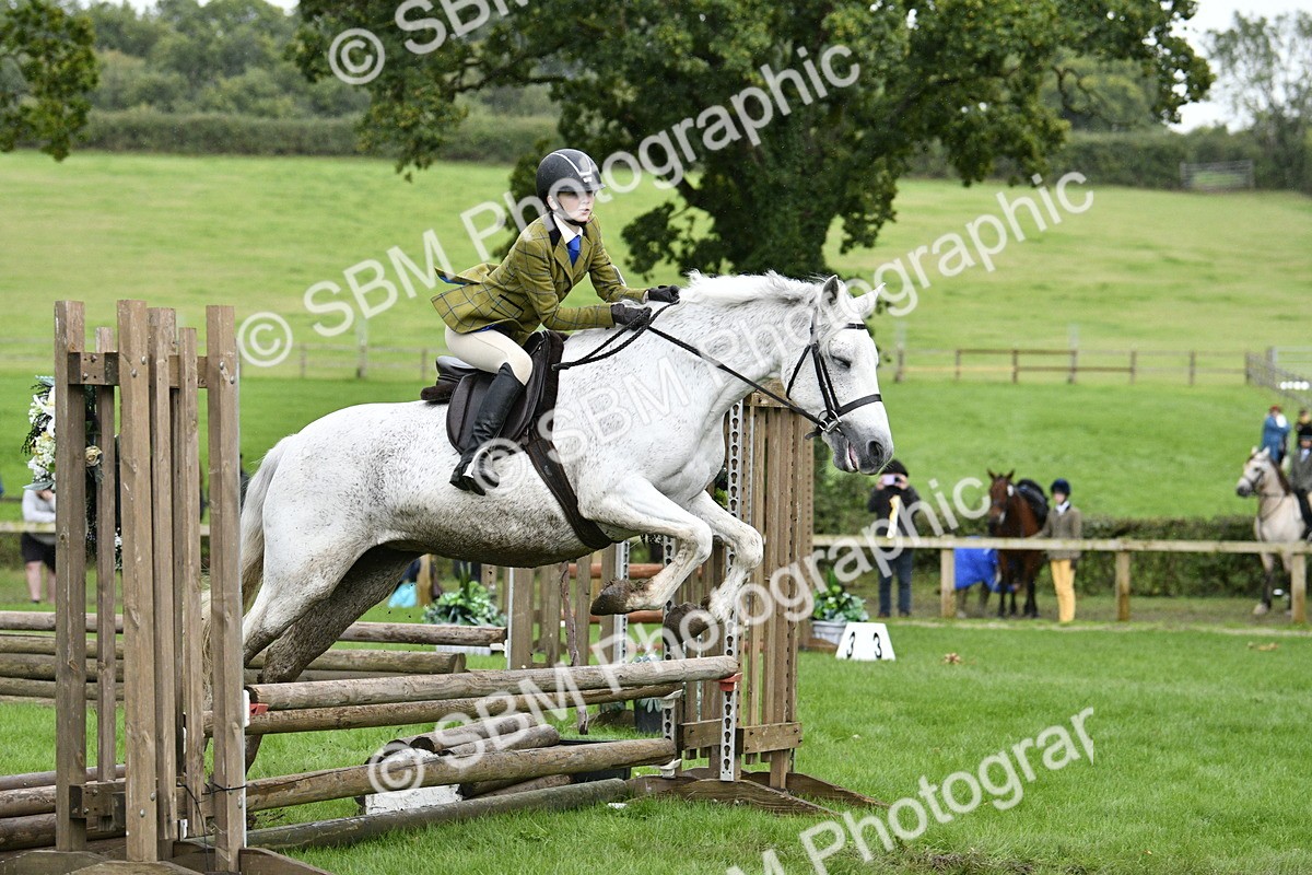 SBM_42254 - S32 - Mountain & Moorland Working Hunter Pony