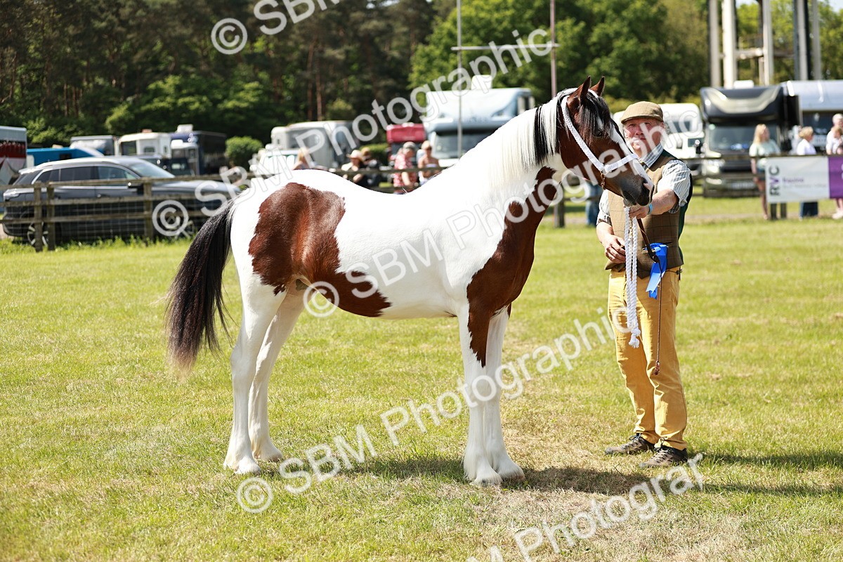 SBM_04267 - Class 39-40 - BSPA Coloured In Hand