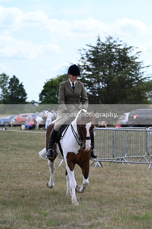 WJ7_5179 - Class 12 Ridden Cob
