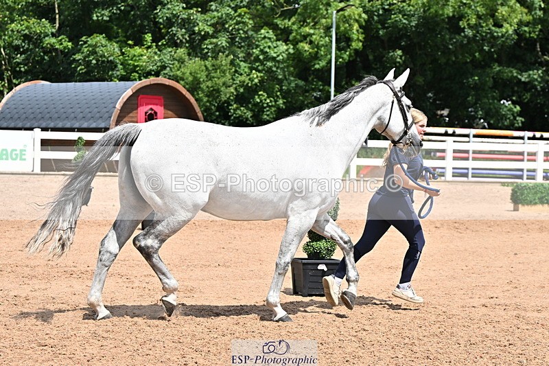 240718A-105305-01552 - Trot Up 1pm to 2pm
