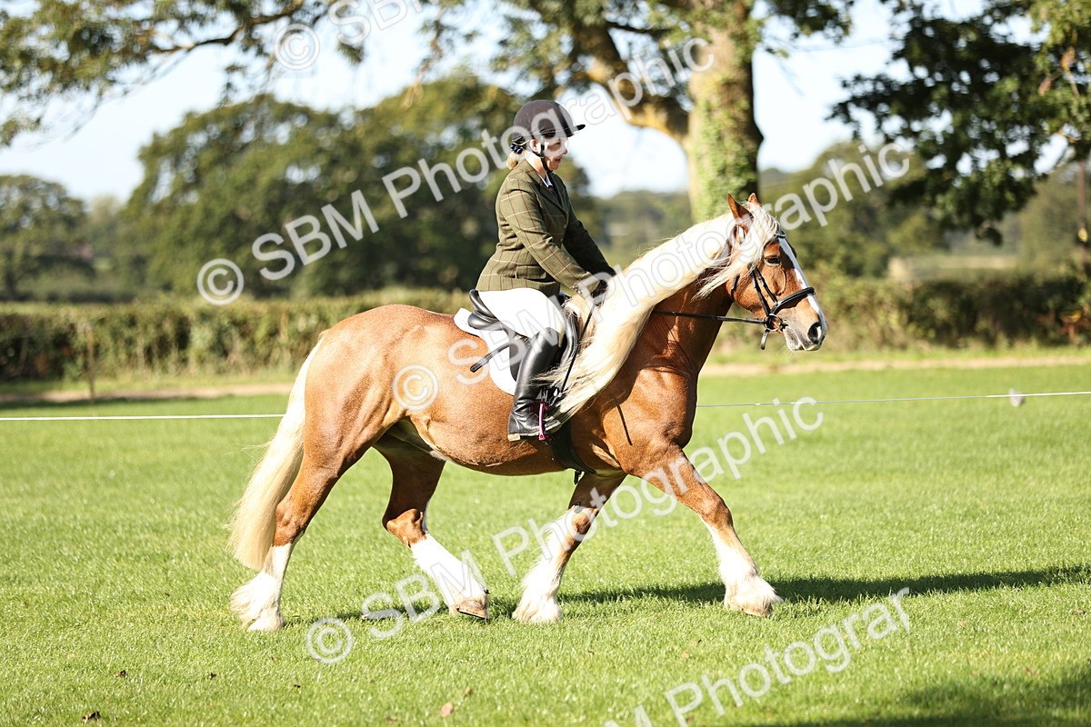 SBM_16910 - S2 - TSR Ridden Pony Showing
