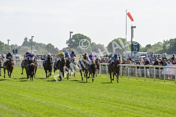 140525-Race 2-Rousing Encore-1779 - Race 2 2.42pm Churchill Tyres Handicap