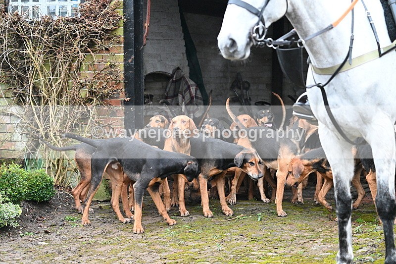 WJ7_2930 - Meet