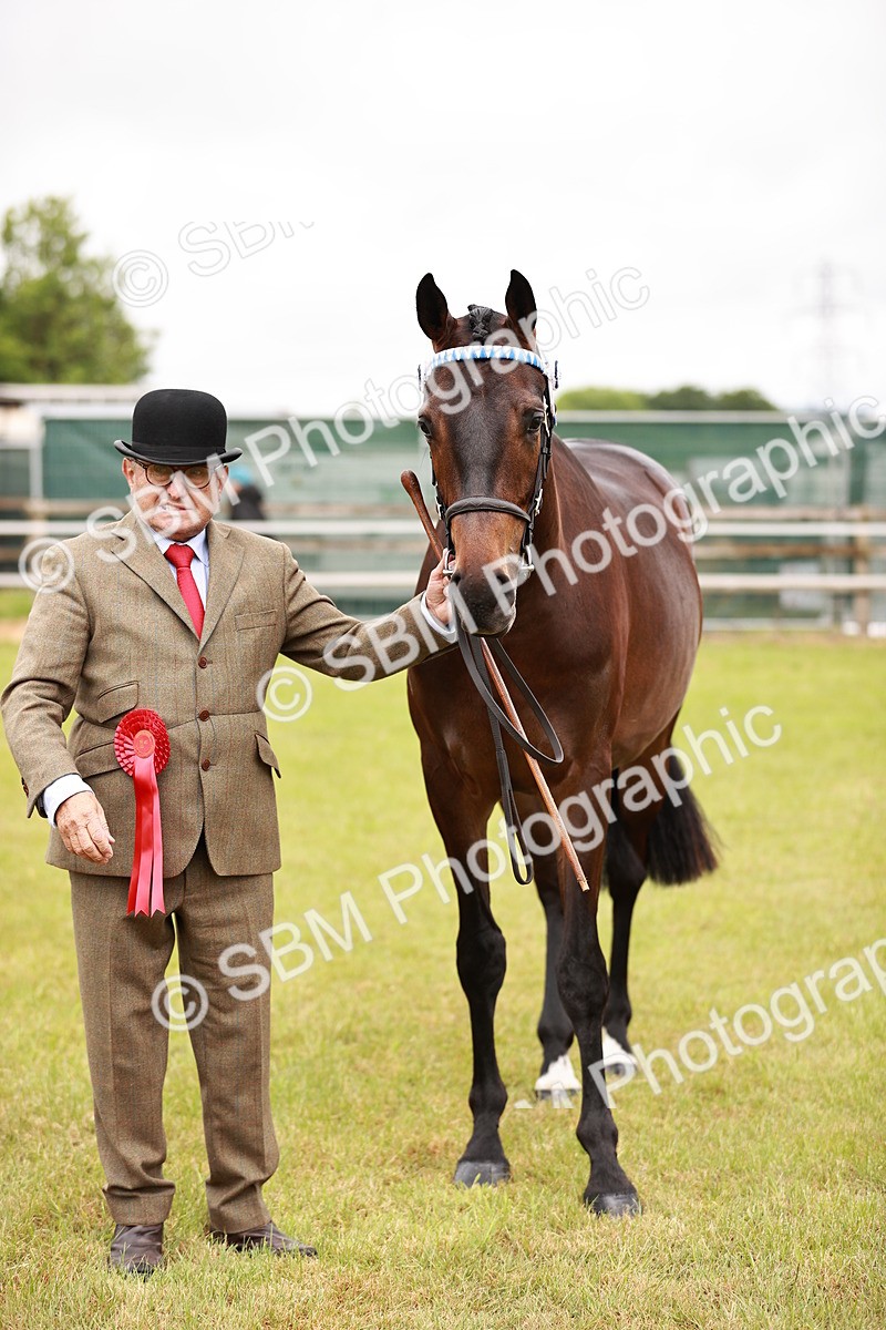 SBM_04781 - Class 35-38 Riding Horse Breeding