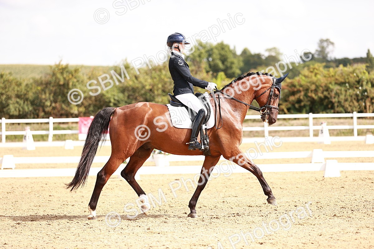 SBM_017644 - Class 11 - Advanced Medium 6